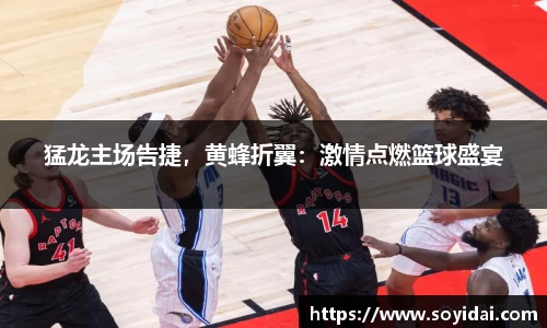 猛龙主场告捷，黄蜂折翼：激情点燃篮球盛宴