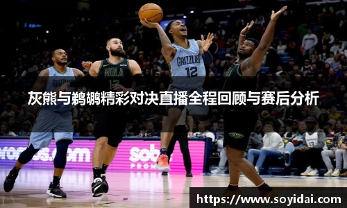 灰熊与鹈鹕精彩对决直播全程回顾与赛后分析
